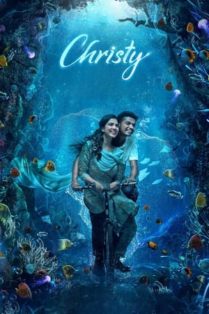 Christy 2023 Hindi Movie HDRip 720p – 480p HD Poster Download - filmyfly