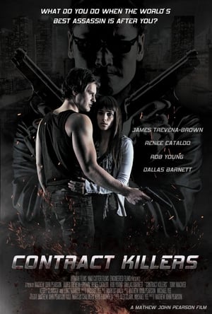 Contract Killers (2014) 100mb Hindi Dual Audio movie Hevc BRRip Download HD Poster Download - filmyfly