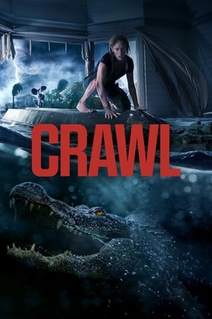 Crawl (2019) Hindi Dual Audio 720p Web-DL [800MB] HD Poster Download - filmyfly