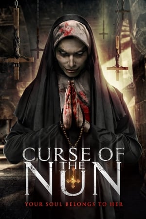 Curse of the Nun (2019) Hindi Dual Audio 480p BluRay 260MB HD Poster Download - filmyfly