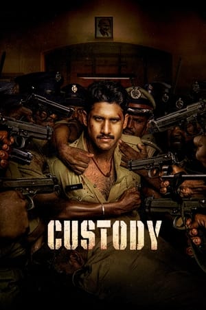 Custody 2023 Hindi (ORG) Dubbed HDTVRip 720p – 480p HD Poster Download - filmyfly
