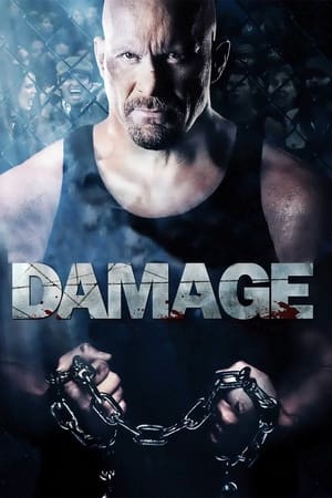Damage 2009 Hindi Dual Audio 720p BluRay [970MB] HD Poster Download - filmyfly