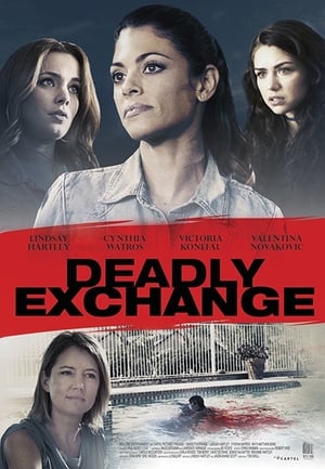 Deadly Exchange 2017 Hindi Dual Audio 720p BluRay [900MB] HD Poster Download - filmyfly