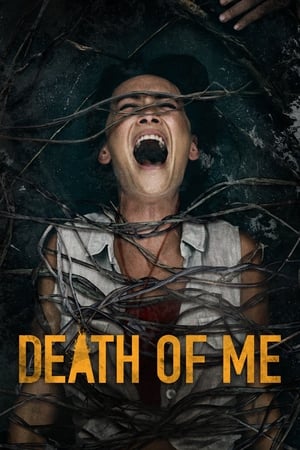 Death of Me (2020) Hindi Dual Audio 720p HDRip [900MB] HD Poster Download - filmyfly