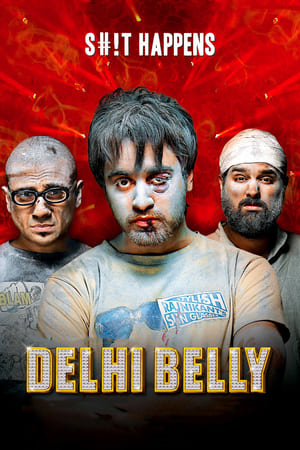 Delhi Belly 2011 Full Movie 480p DVDRip [300MB] HD Poster Download - filmyfly