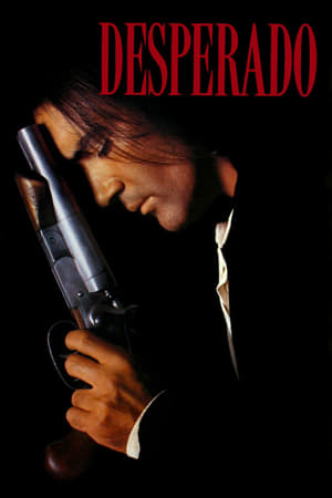 Desperado 1995 Hindi Dual Audio 480p BluRay 300MB HD Poster Download - filmyfly