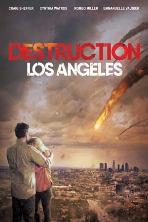 Destruction Los Angeles (2017) Hindi Dual Audio 480p HDRip 300MB HD Poster Download - filmyfly
