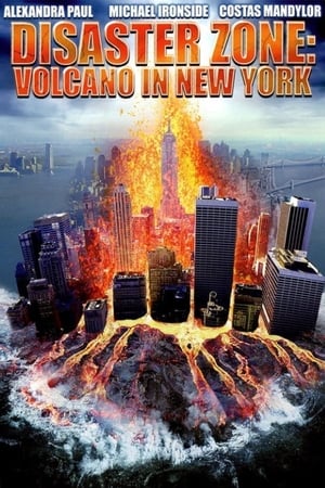 Disaster Zone Volcano in New York 2006 Hindi Dual Audio 480p HDRip 300MB HD Poster Download - filmyfly