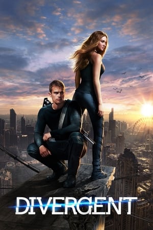 Divergent (2014) Hindi Dual Audio 720p BluRay [1.3GB] HD Poster Download - filmyfly