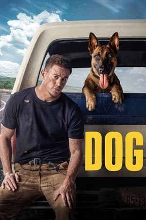 Dog (2022) Hindi Dual Audio HDRip 720p – 480p HD Poster Download - filmyfly