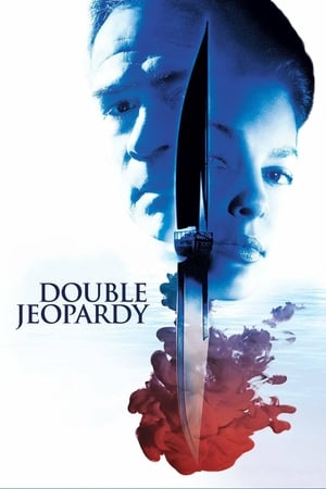 Double Jeopardy 1999 Hindi Dual Audio 720p Web-DL [920MB] HD Poster Download - filmyfly