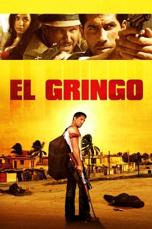 El Gringo (2012) Hindi Dual Audio 480p HDRip 300MB HD Poster Download - filmyfly