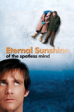 Eternal Sunshine Of The Spotless Mind 2004 Hindi Dual Audio 480p BluRay 300MB HD Poster Download - filmyfly