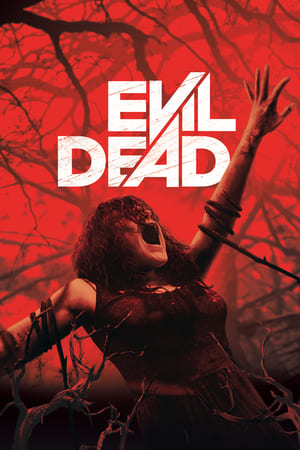 Evil Dead 2013 Hindi Dual Audio 720p BluRay [760MB] HD Poster Download - filmyfly
