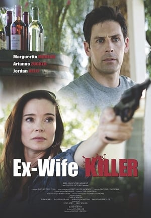 Ex-Wife Killer (2017) Hindi Dual Audio 720p WebRip [930MB] HD Poster Download - filmyfly