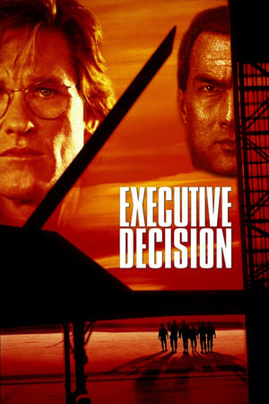 Executive Decision (1996) Hindi Dual Audio 720p BluRay [1GB] HD Poster Download - filmyfly