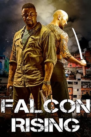 Falcon Rising (2014) Hindi Dual Audio 480p BluRay 300MB HD Poster Download - filmyfly