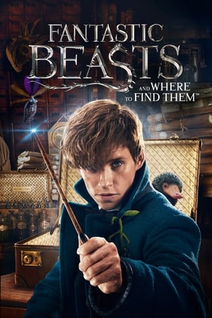 Fantastic Beasts and Where to Find Them 2016 Full Movie HC [HDRip] [1GB] HD Poster Download - filmyfly