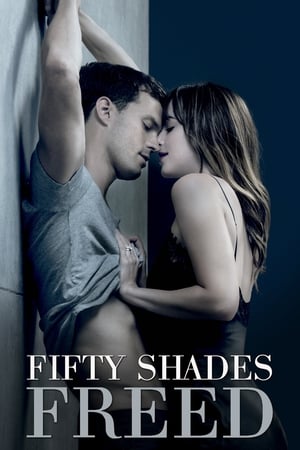 Fifty Shades Freed (2018) Hindi Dual Audio 720p BluRay [1GB] HD Poster Download - filmyfly