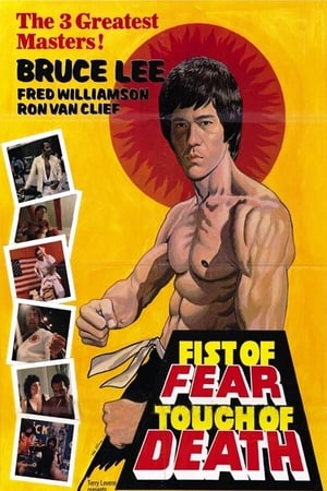 Fist of Fear Touch of Death 1980 Hindi Dual Audio 720p DVDRip [1GB] HD Poster Download - filmyfly