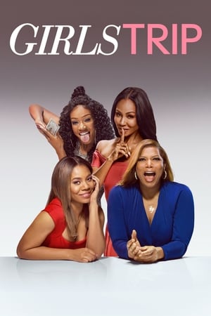 Girls Trip (2017) Hindi Dual Audio 720p BluRay [1GB] HD Poster Download - filmyfly