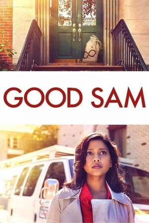Good Sam 2019 Hindi Dual Audio 480p Web-DL 300MB HD Poster Download - filmyfly
