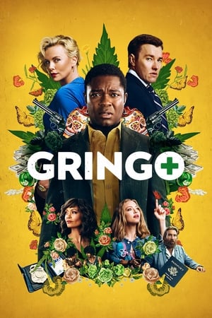 Gringo (2018) Hindi Dual Audio 480p BluRay 400MB HD Poster Download - filmyfly