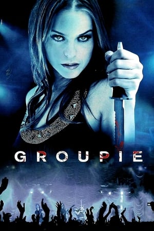 Groupie (2010) Hindi Dual Audio 720p BluRay [1.1GB] HD Poster Download - filmyfly