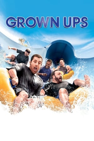 Grown Ups (2010) Hindi Dual Audio 480p BluRay 300MB HD Poster Download - filmyfly