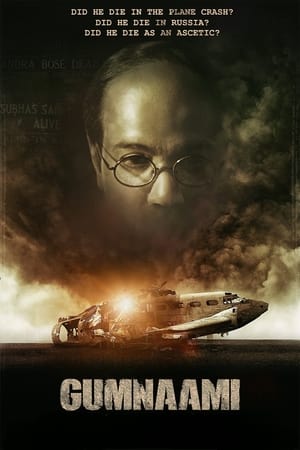 Gumnaami (2019) Hindi Movie 480p HDRip - [400MB] HD Poster Download - filmyfly