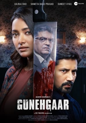 Gunehgaar (2023) Hindi HDRip | 720p | 480p HD Poster Download - filmyfly