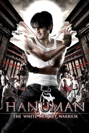 Hanuman The White Monkey Warrior 2008 Hindi Dual Audio 720p BluRay [1.1GB] HD Poster Download - filmyfly