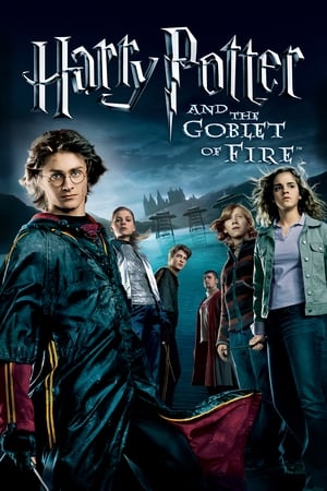Harry Potter and the Goblet of Fire 2005 Hindi Dual Audio WEB-DL 1080p - 720p - 480p HD Poster Download - filmyfly