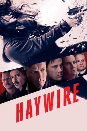 Haywire (2011) Hindi Dual Audio 720p BluRay [700MB] HD Poster Download - filmyfly
