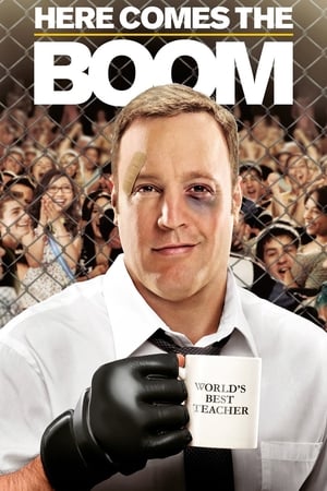 Here Comes the Boom 2012 Hindi Dual Audio HDRip 720p – 480p HD Poster Download - filmyfly
