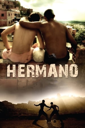 Hermano (2010) Hindi Dual Audio 480p Web-DL 300MB HD Poster Download - filmyfly