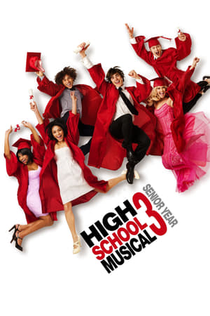 High School Musical 3 (2008) Hindi Dual Audio 720p BluRay [950MB] HD Poster Download - filmyfly