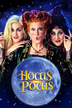 Hocus Pocus 1993 Hindi Dual Audio 480p BluRay 320MB HD Poster Download - filmyfly