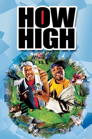 How High (2001) Hindi Dual Audio 480p WebRip 300MB HD Poster Download - filmyfly