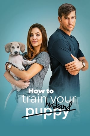 How to Train Your Husband 2018 Hindi Dual Audio 480p BluRay 300MB HD Poster Download - filmyfly