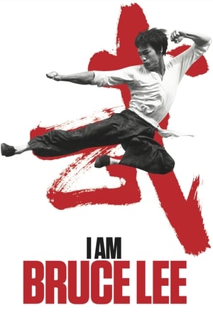 I Am Bruce Lee 2012 300MB Hindi Dual Audio Bluray 480p HD Poster Download - filmyfly