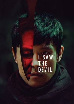 I Saw the Devil 2010 Hindi Dual Audio HDRip 720p – 480p HD Poster Download - filmyfly