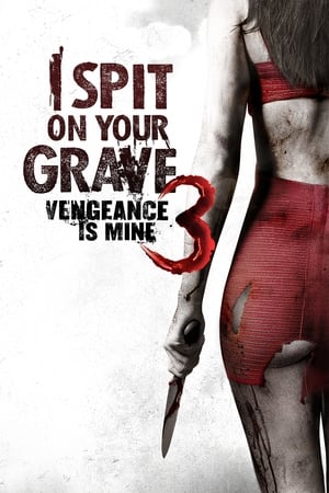 I Spit on Your Grave: Vengeance Is Mine (2015) Hindi Dual Audio HDRip 720p – 480p HD Poster Download - filmyfly