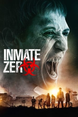 Inmate Zero (2020) Hindi Dual Audio 480p WebRip 330MB HD Poster Download - filmyfly