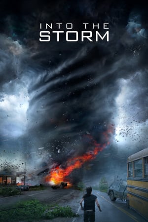 Into the Storm (2014) Hindi Dual Audio 480p BluRay 300MB HD Poster Download - filmyfly