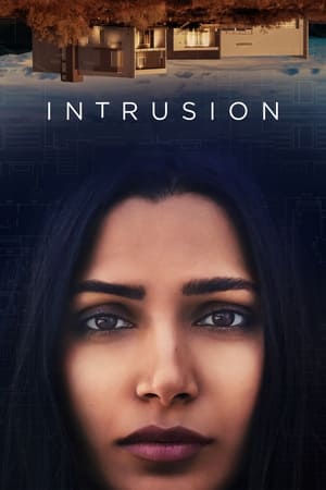 Intrusion (2021) Hindi Dual Audio 480p HDRip 400MB HD Poster Download - filmyfly