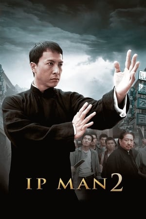 Ip Man 2 (2010) Hindi Dual Audio 480p BluRay 350MB HD Poster Download - filmyfly