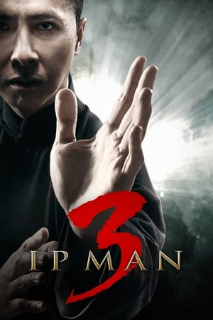 Ip Man 3 (2015) Hindi Dual Audio HDRip 400MB HD Poster Download - filmyfly