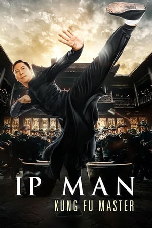 Ip Man: Kung Fu Master (2019) Hindi Dual Audio 480p HDRip 300MB HD Poster Download - filmyfly