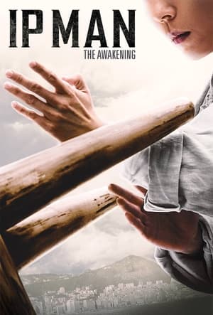 Ip Man: The Awakening (2022) Hindi Dual Audio HDRip 720p – 480p HD Poster Download - filmyfly